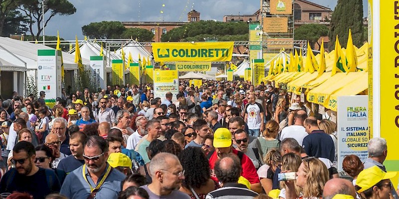 WHERE STREET FOOD MEETS AGRICULTURE: INSPIRATIONS FOR A WINNING COLLABORATION